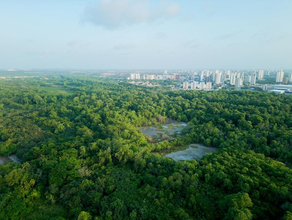 Saisonnier : un tremplin pour votre carrière ?