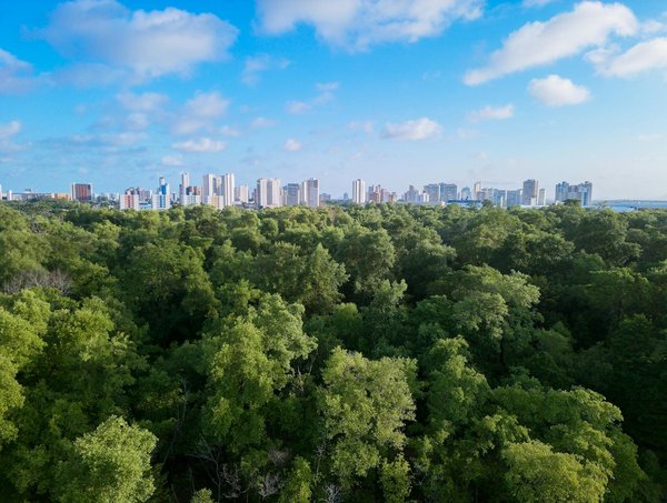 Tendances mode pour homme et femme : 10 astuces stylées incontournables