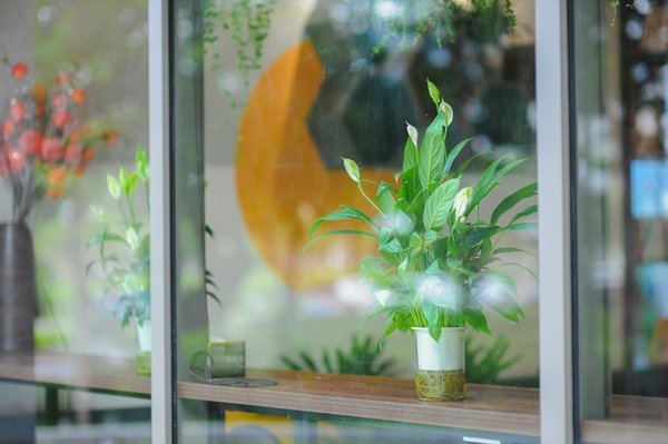 Cave à vins : l'art de préserver la qualité et l'élégance